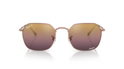Ray-Ban 3694